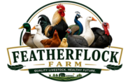 Feather Flock Farm
